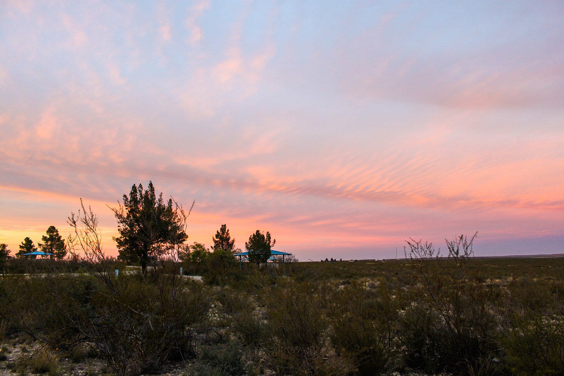 Sunset over shrubs and trees at Brantley Lake State Park, New Mexico.