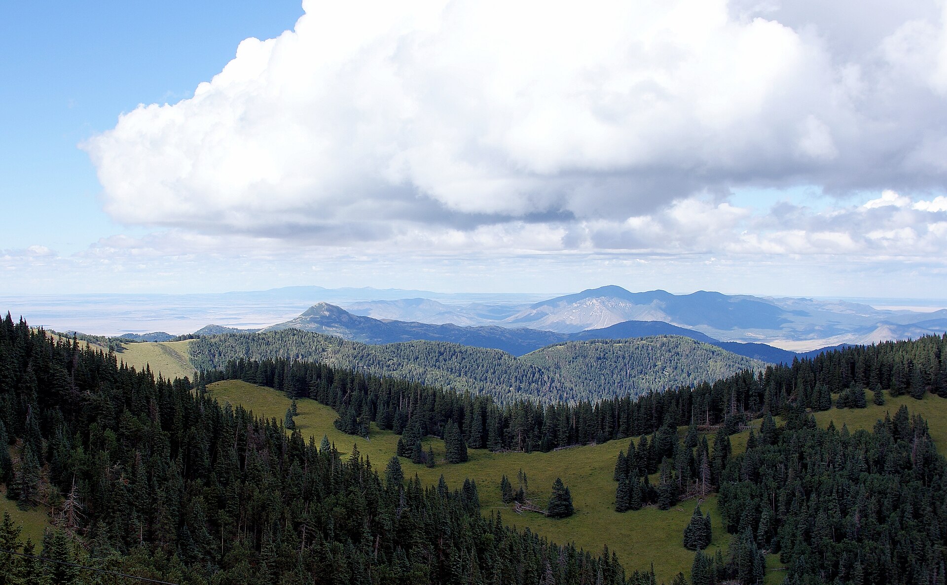 Forested mountain landscape near the Capitan Mountains in New Mexico.