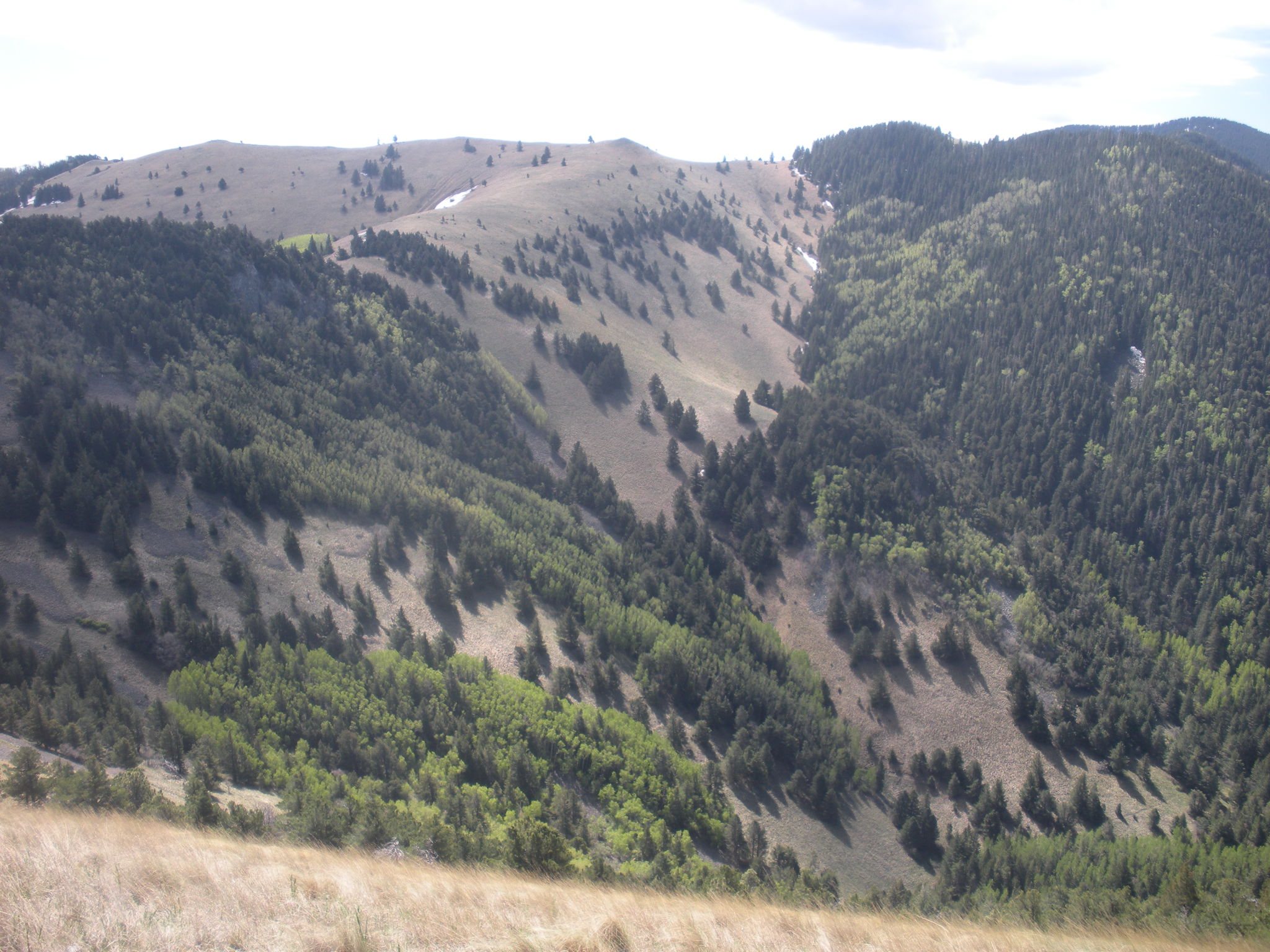 Mountain terrain along Crest Trail in Lincoln National Forest.