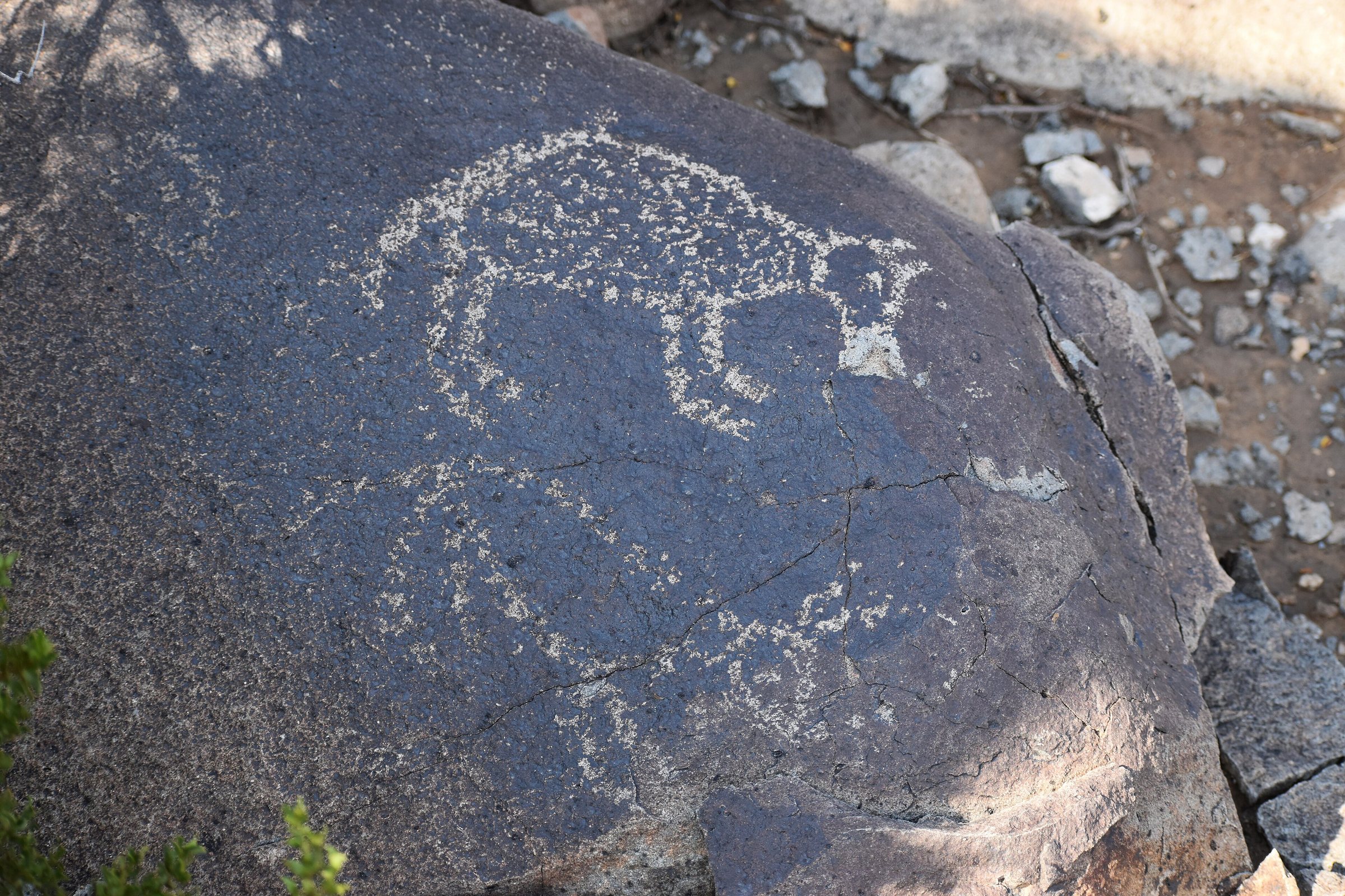 Petroglyphs at the Three Rivers Petroglyph Site in Otero County.
