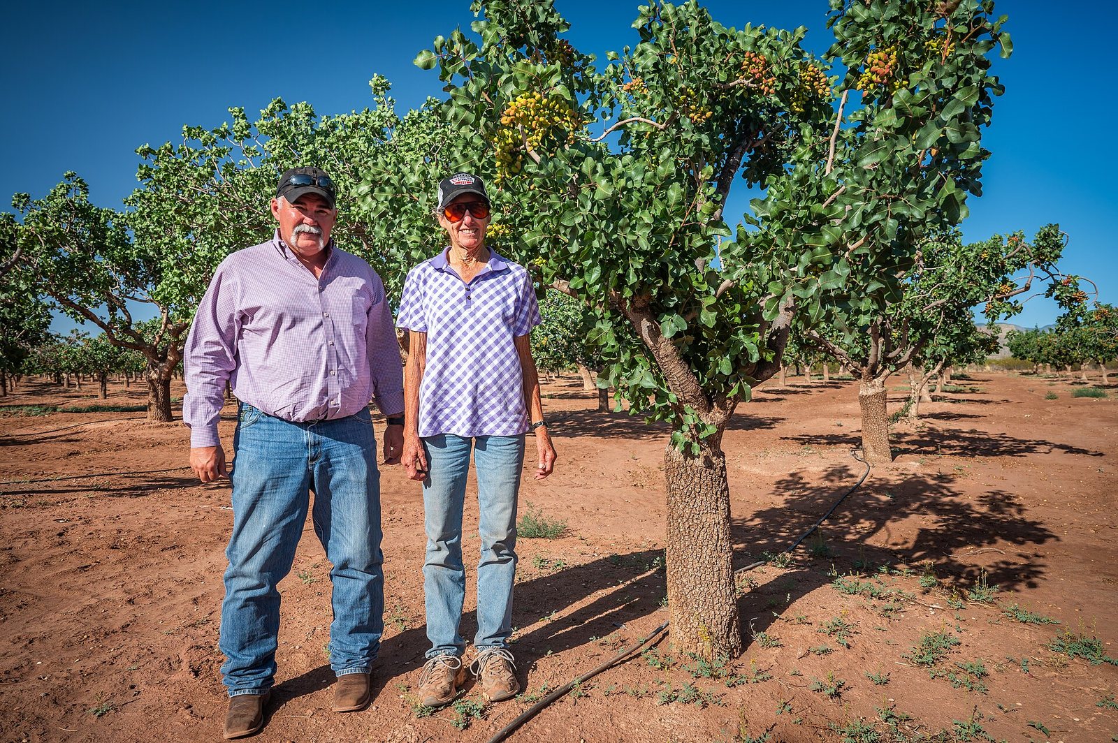 Two pistachio growers standing beside trees in a Tularosa orchard.