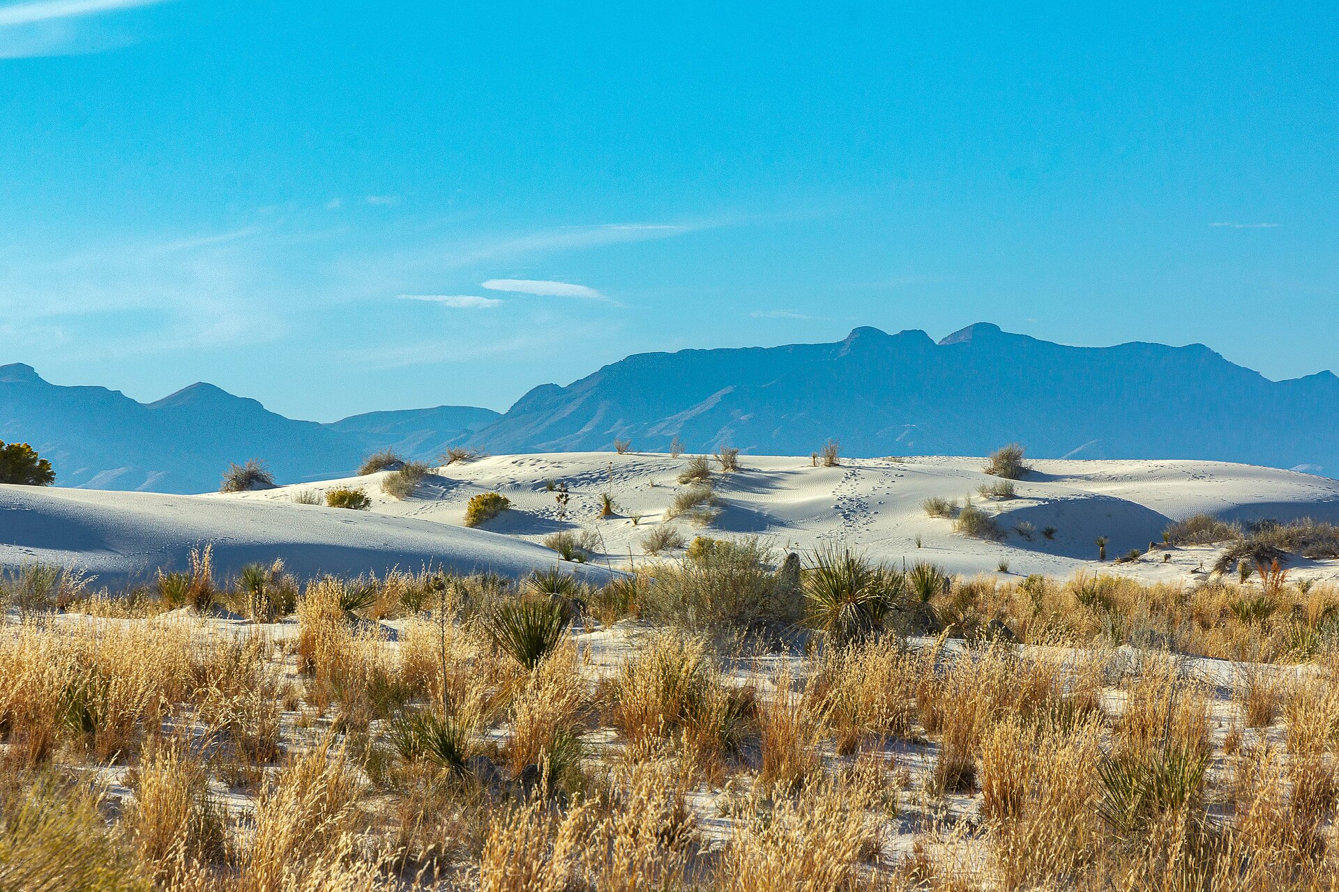 White dunes and mountain backdrop at White Sands National Park.