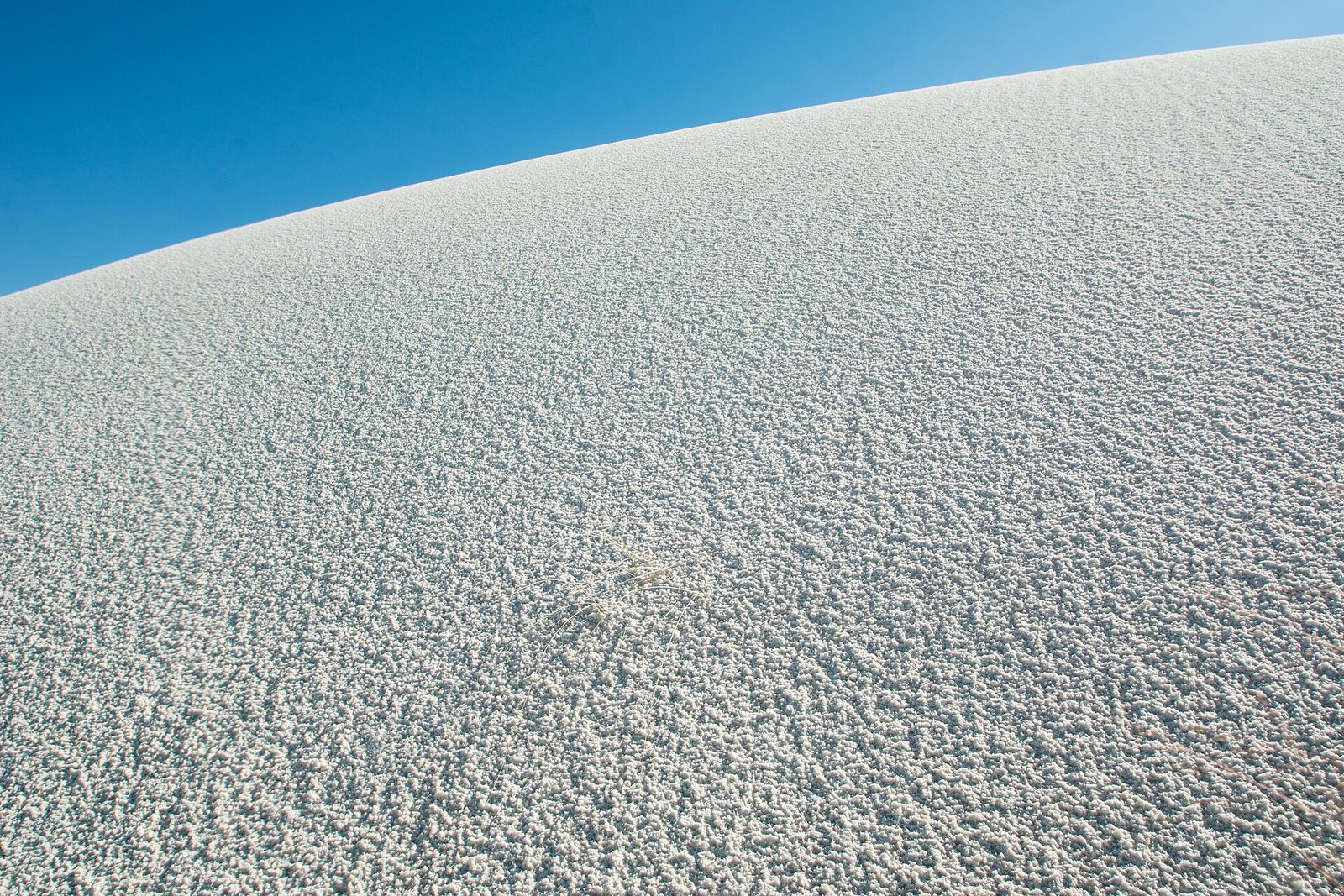 Rippled white gypsum dunes at White Sands National Park.