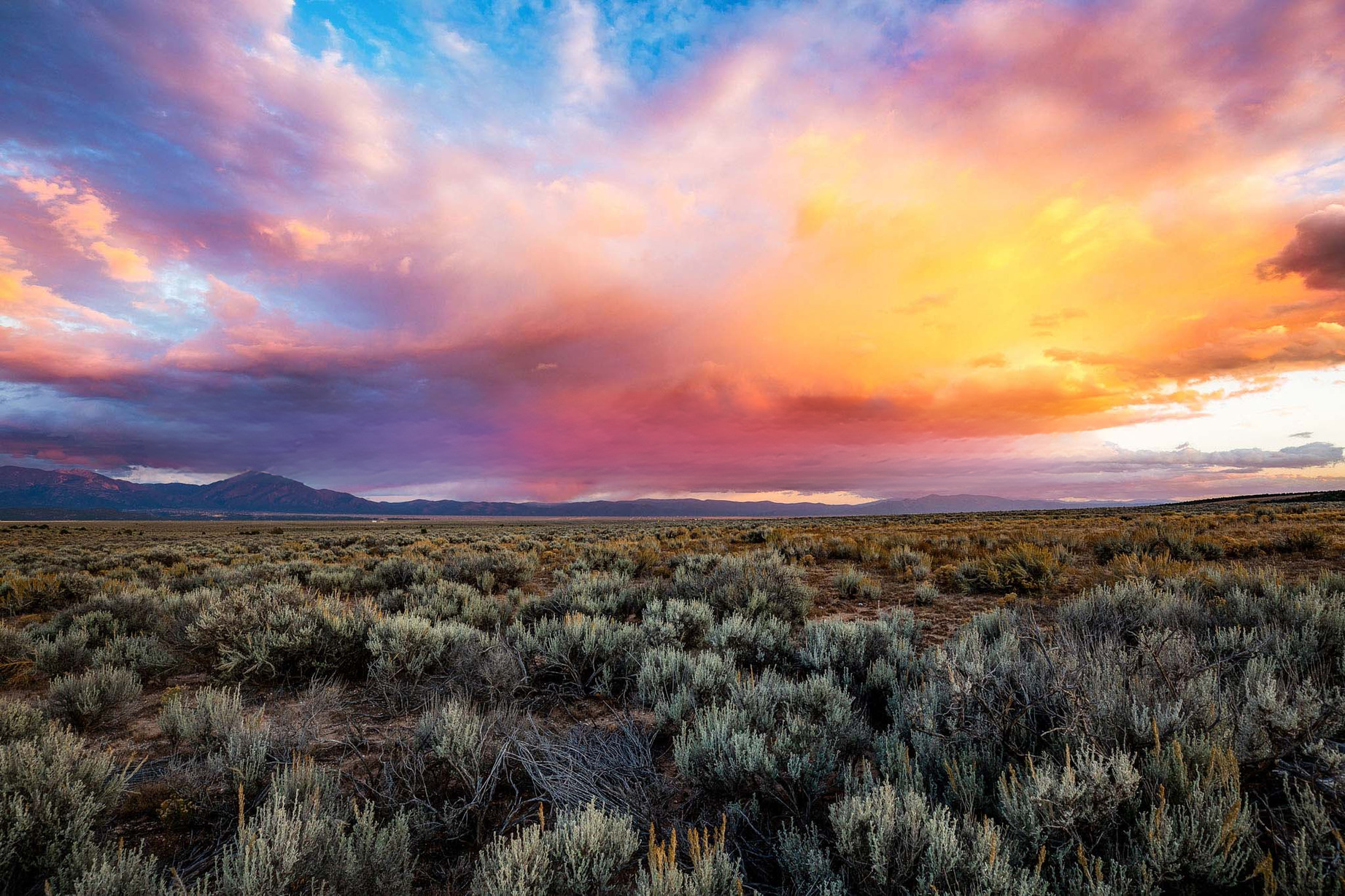 Landscape from the CEDS shared-vision chapter