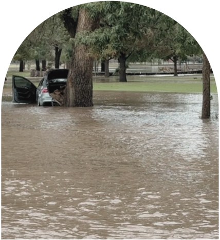 Floodwater around trees and vehicles