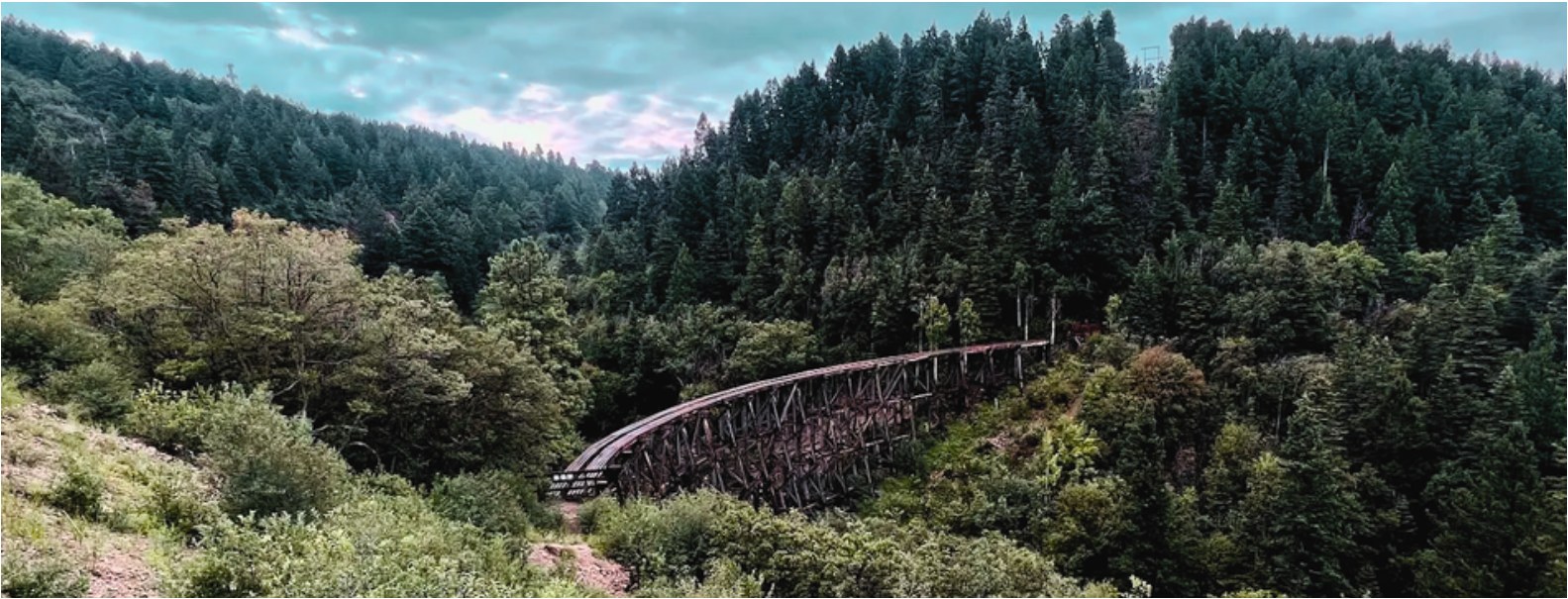 A railway bridge crossing forested mountain terrain.