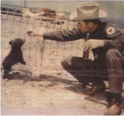 Smokey The Bear , Capitan, NM 1950