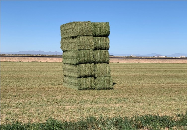 Baled Hay in Chaves County